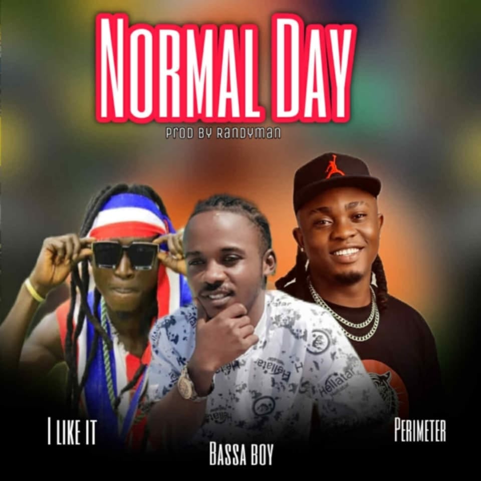 Normal Day by BassaBoi Ft. Perimeter x Fire King