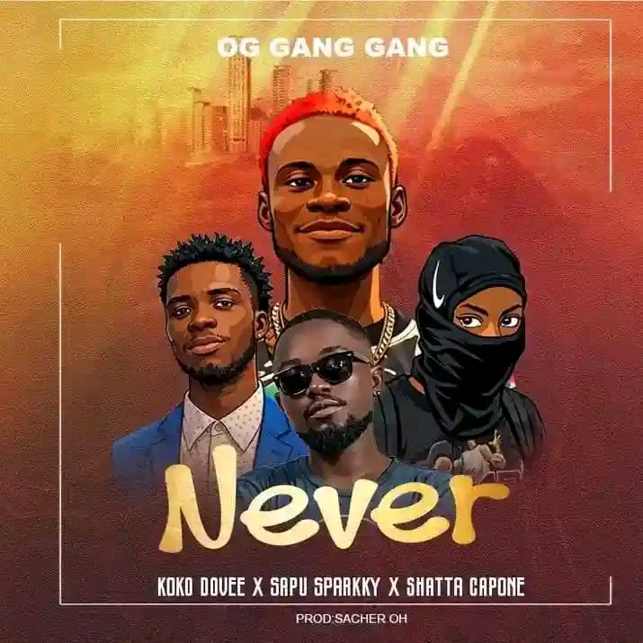 Never by OG Gang Gang Ft. Kokodovee x Sapu x Sparkky x Shatta Capone